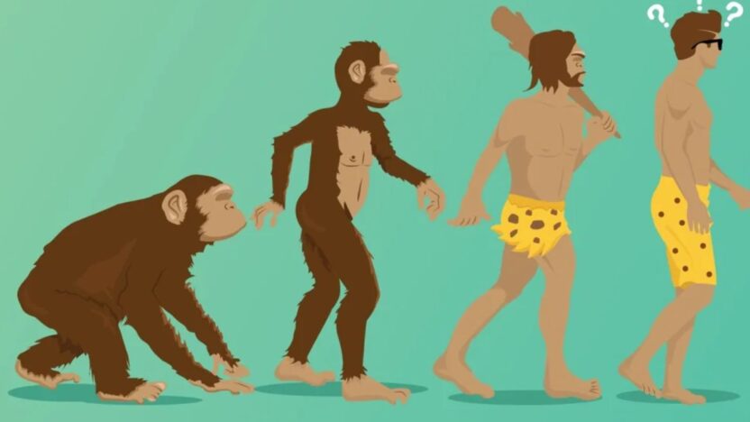 Debunking Myths and Misconceptions About Evolution A Closer Look