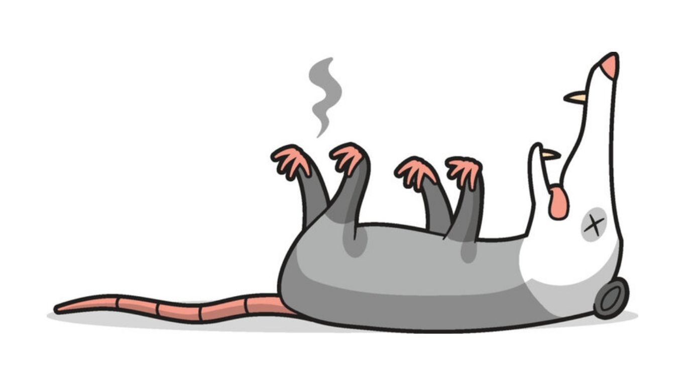 Thanatosis How Animals “Play Dead” to Survive