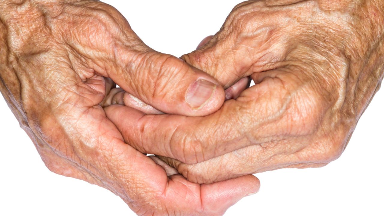 Why Our Bodies Age The Story Written in Our Cells