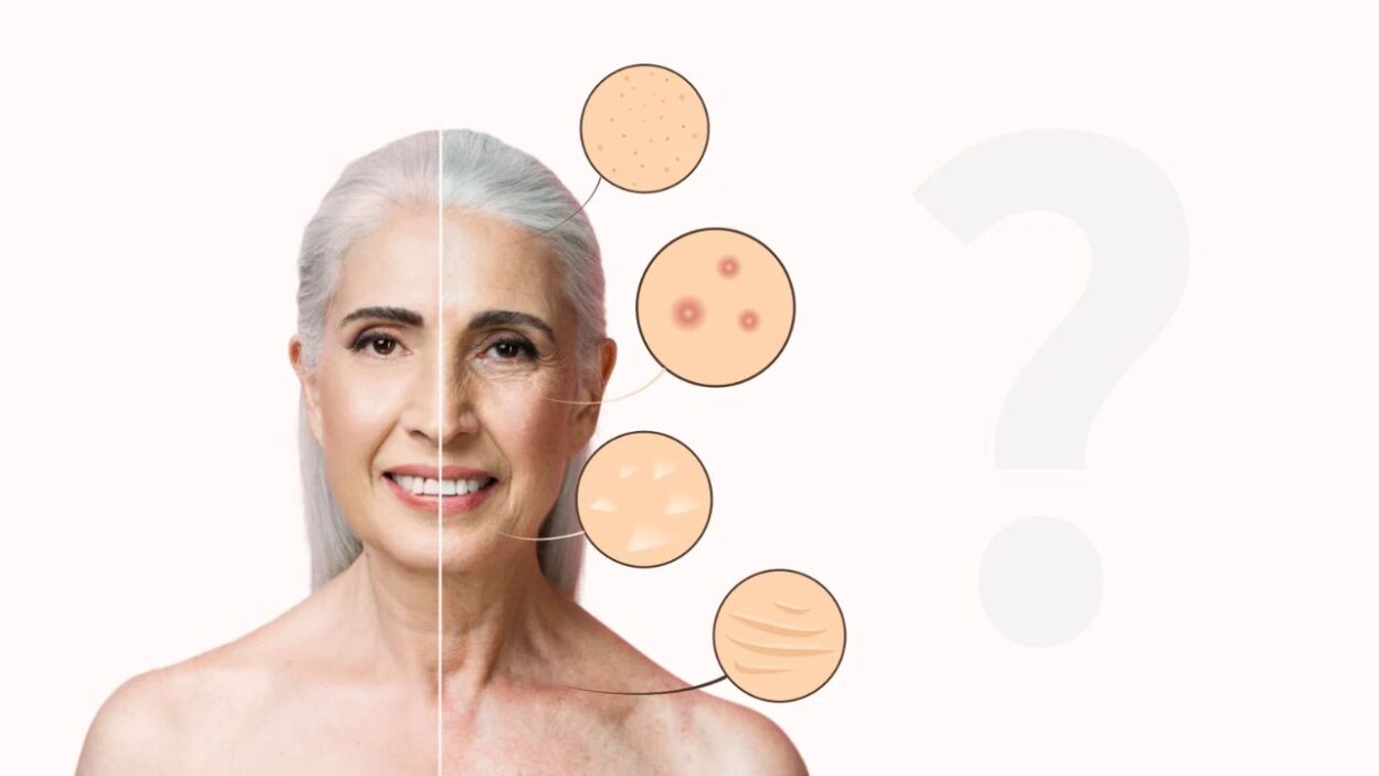 Why Our Bodies Age The Story Written in Our Cells