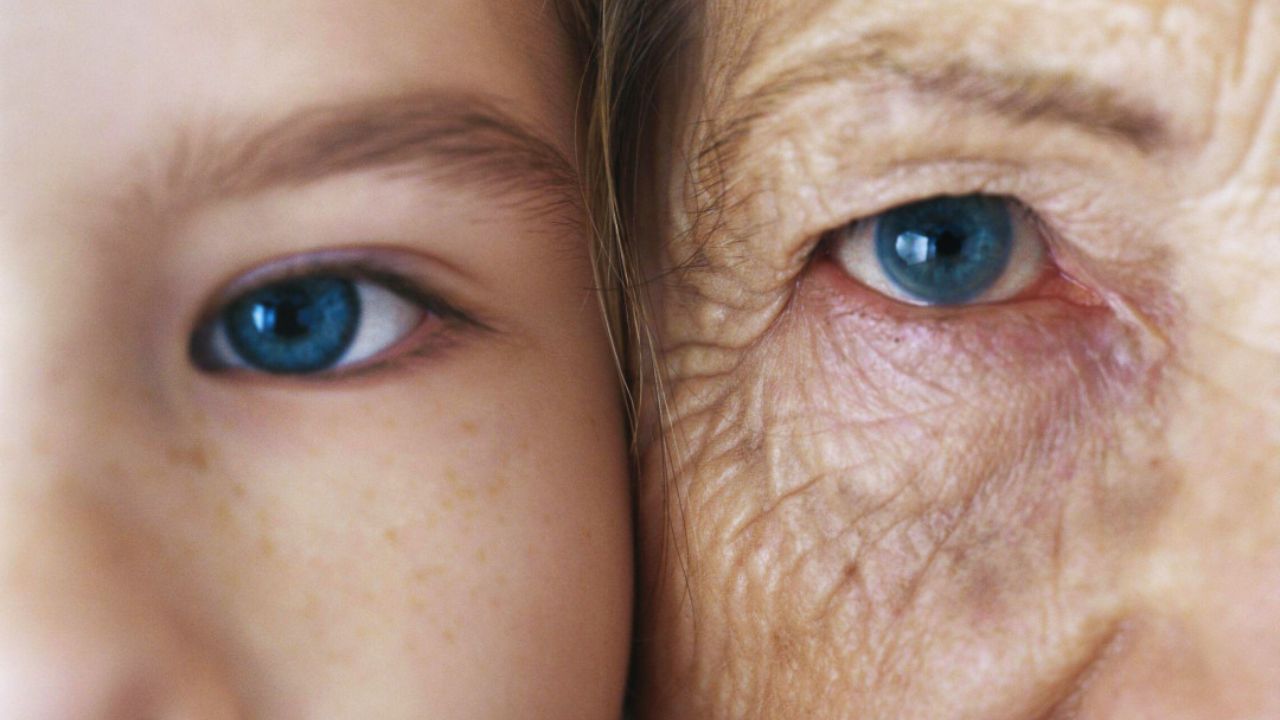 Why Our Bodies Age The Story Written in Our Cells