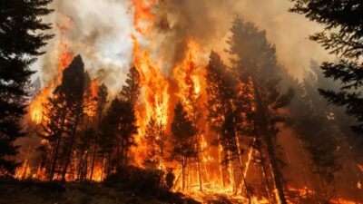 Zombie Fires Explained The Underground Blazes That Refuse to Die