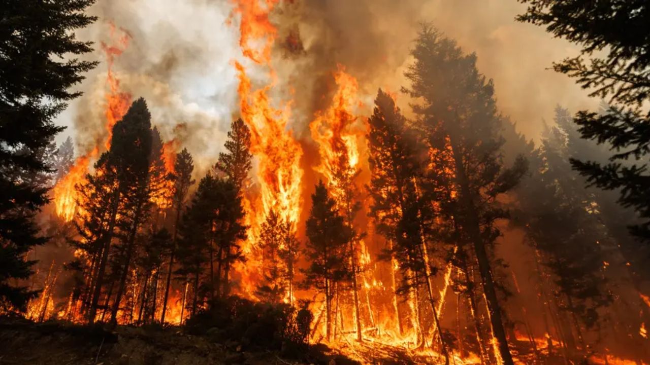 Zombie Fires Explained: The Underground Blazes That Refuse to Die