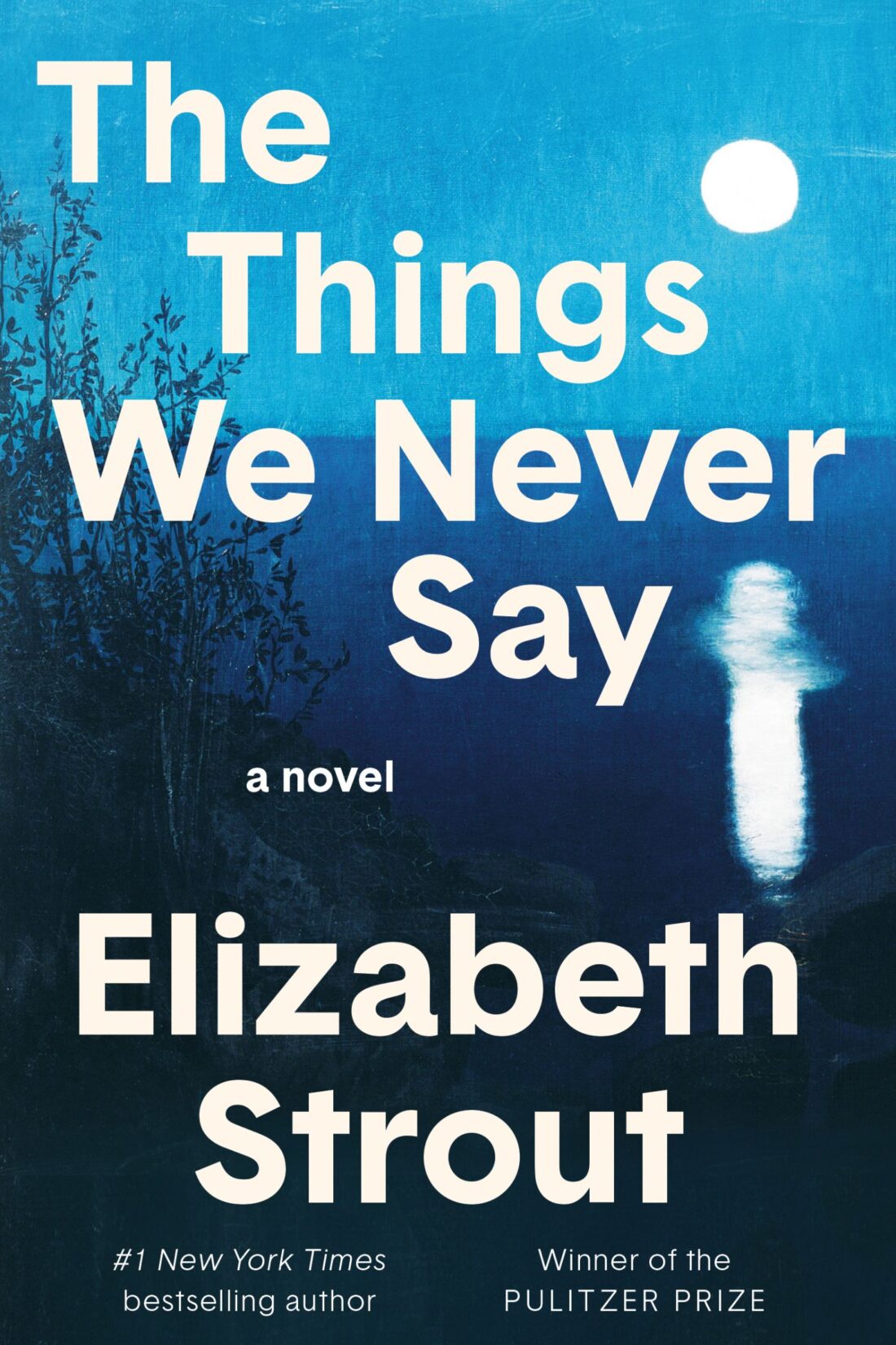 The Things We Never Say By Elizabeth Strout - A Quietly Devastating Portrait of Loneliness